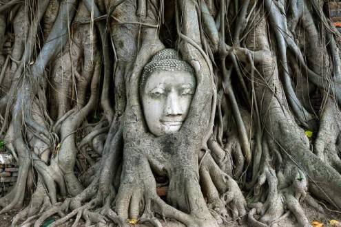 Tailandia al completo - Ayutthaya